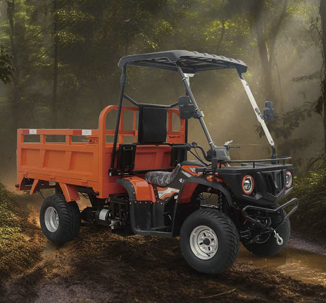 ATV 2WD 1.6
