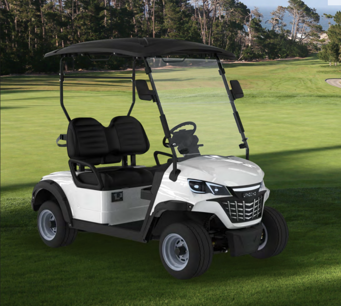 Carro Golf S (4p) GEL